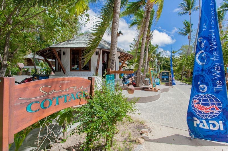 Best Dive Schools in Koh Tao