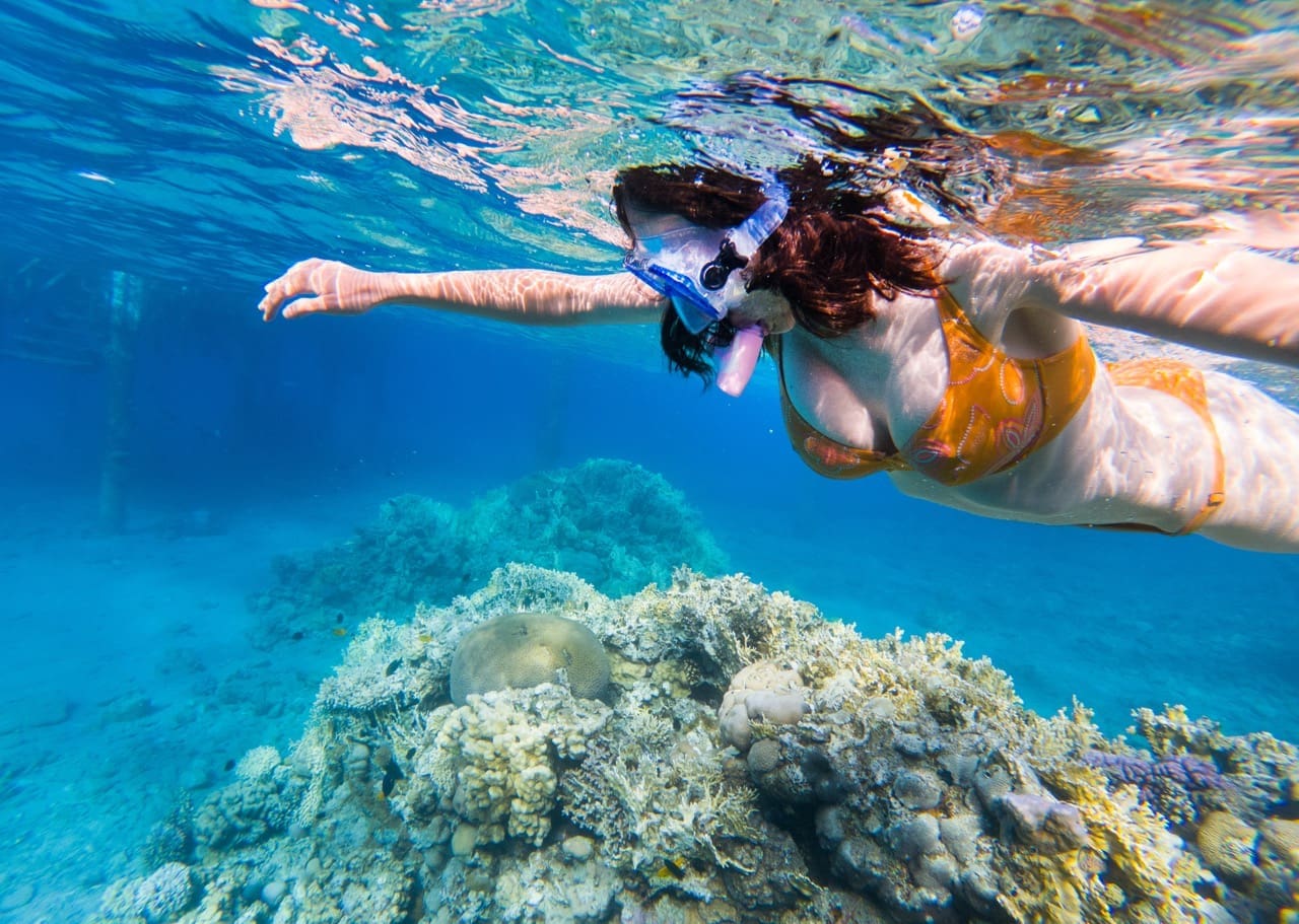 Discover Koh Tao’s Best Snorkeling Spots