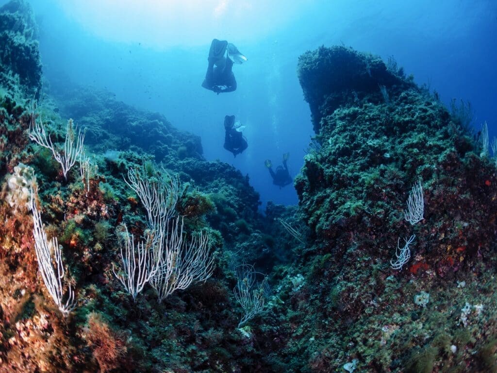 Ao Leuk Koh Tao, Thailand