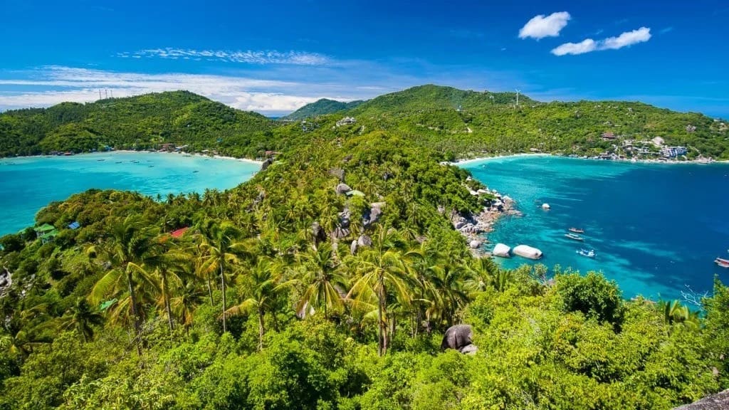 John-Suwan Viewpoint