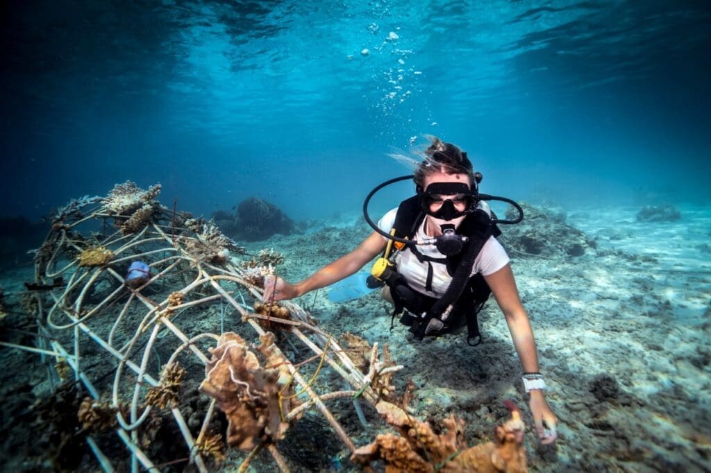 New Heaven Dive School: Reef Conservation Program