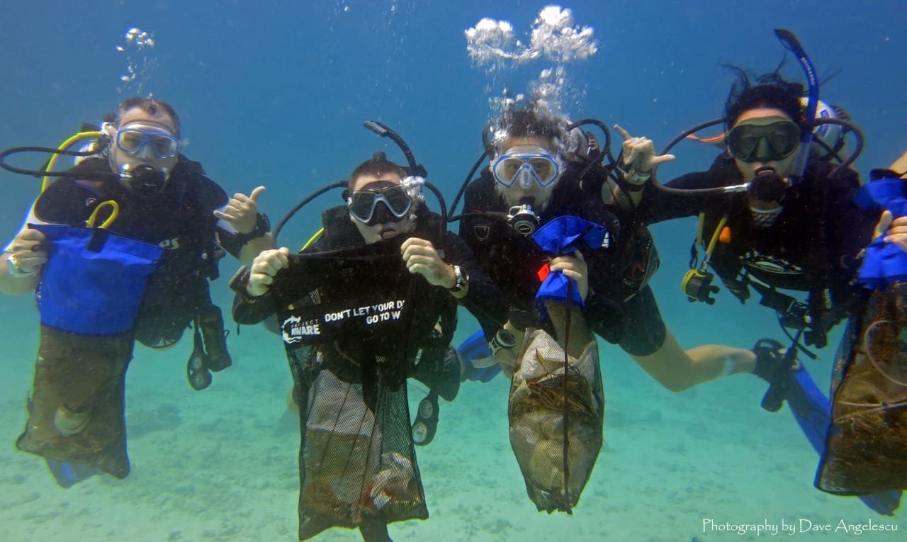 Marine Conservation in Koh Tao
