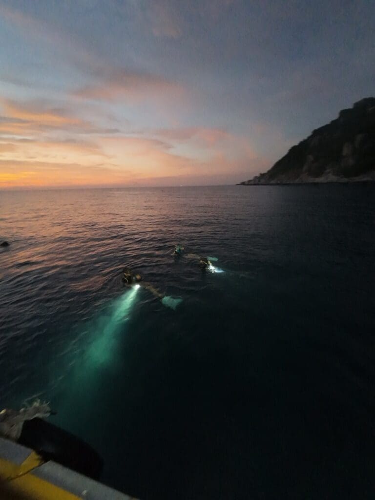 Night Diving with Sairee Cottage Diving - credit: Maran 