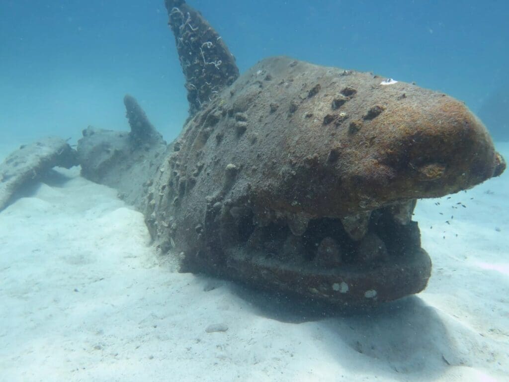 No Name Dive Site Koh Tao, Thailand - Photo credit: PADI