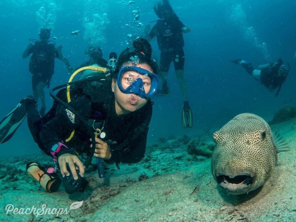 Photo credit: Peachsnaps