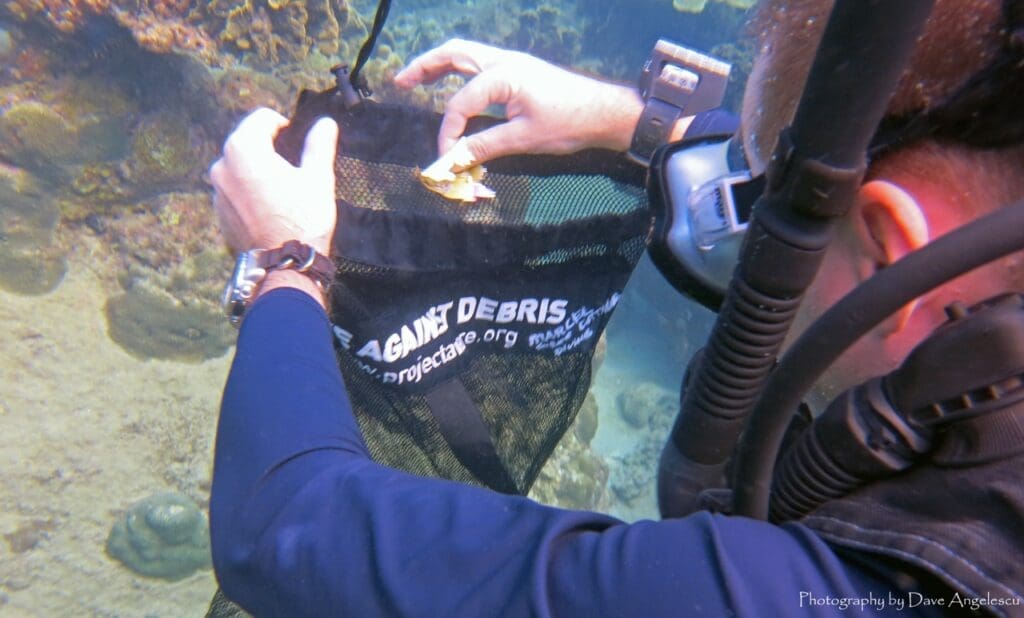 Preserve of Koh Tao's paradise for future generations