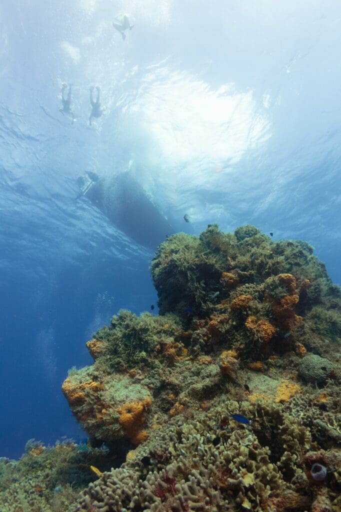 Diving boat from underwater and divers at the dive site
